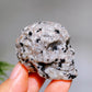 2.0" Crystal Skull Carving Crystal Healing Bulk Wholesale