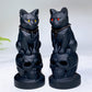 4.0" Black Obsidian Cat on Skull Carving Crystal Healing Bulk Wholesale
