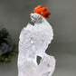 Unique Clear Quartz with Carnelian Rooster Carving with Wooden Stand Crystal Healing Bulk Wholesale