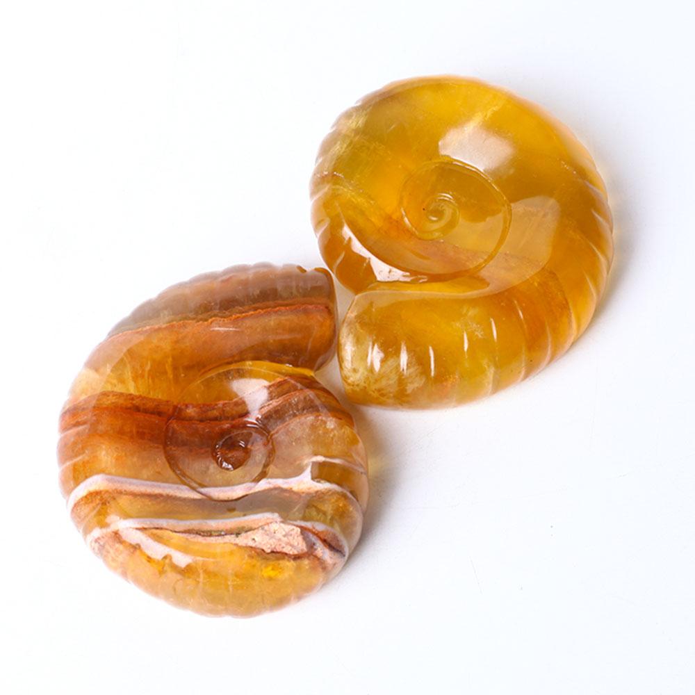 Unique Fluorite Snail Shell Shape Crystal Carving Free Form Wholesale Crystals USA
