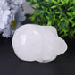 Clear Quartz Crystal Skull Carvings Wholesale Crystals USA