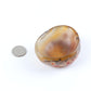 Irregular Carnelian Bowl Free Form