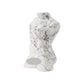 Howlite Crystal Carving Model Figurine Wholesale Crystals USA