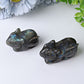 2.3" Labradorite Mouse Crystal Carvings Wholesale Crystals USA