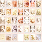 White Light Oracle Cards Bulk Wholesale  Crystals USA