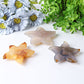 3.0"-3.5" Druzy Agate Starfish Crystal Carvings Wholesale Crystals USA