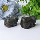 2.3" Labradorite Mouse Crystal Carvings Wholesale Crystals USA