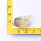 2.5" Fluorite Dolphin Crystal Carvings Wholesale Crystals USA