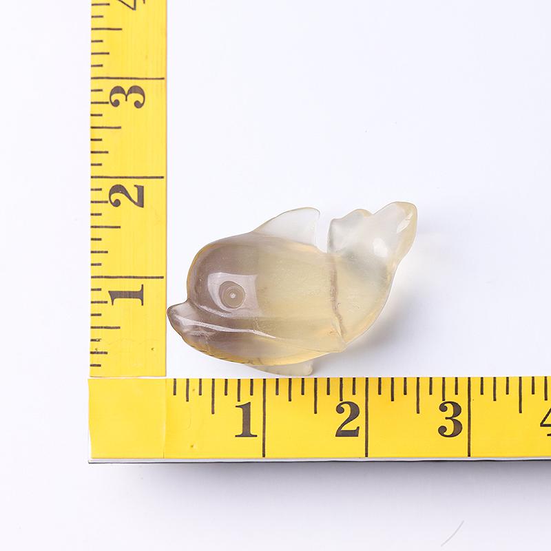 2.5" Fluorite Dolphin Crystal Carvings Wholesale Crystals USA