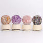 Crystal Music Box