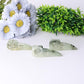 3.5" Natural Prehnite Crow Skull Head Healing Carving Epidote Wholesale Crystals USA