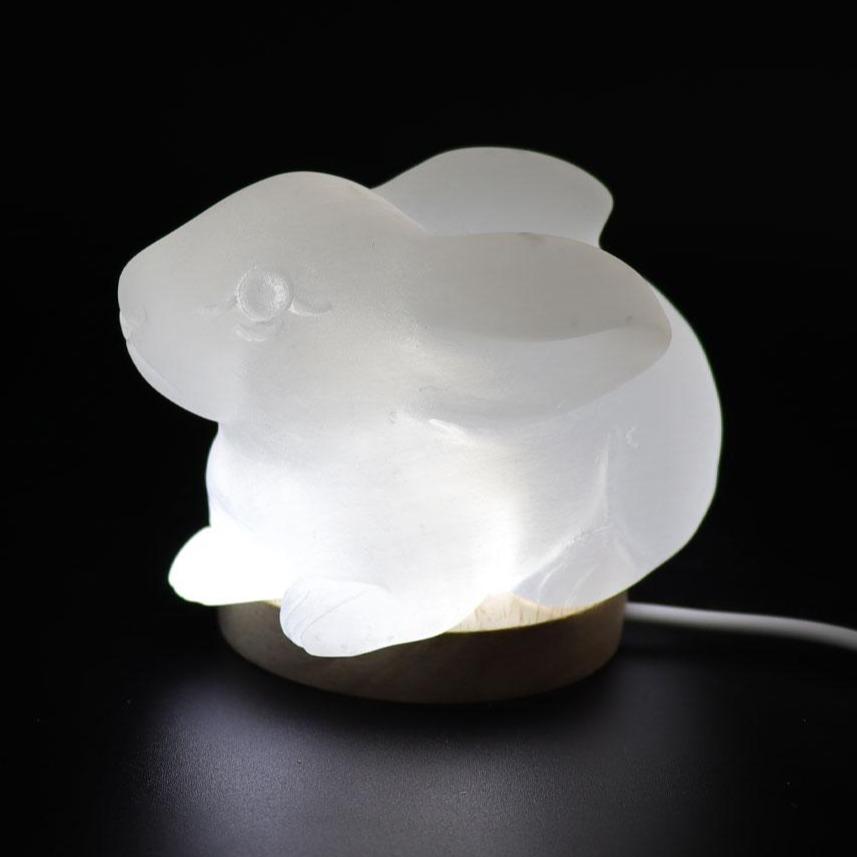 Selenite Rabbit Crystal Carvings Wholesale Crystals USA