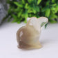 2.5" Fluorite Dolphin Crystal Carvings Wholesale Crystals USA