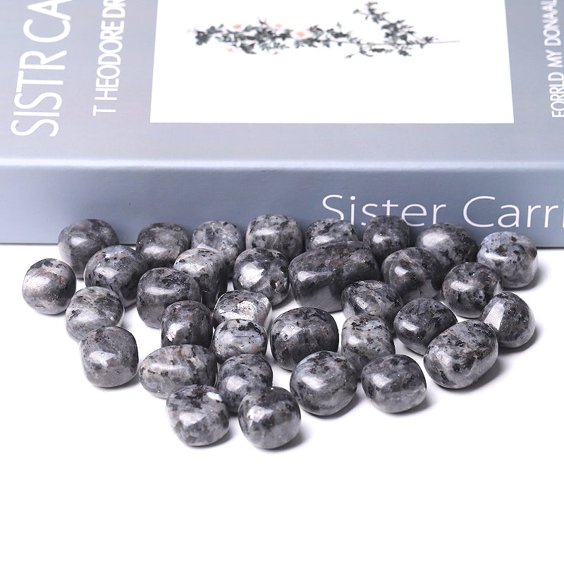 0.1kg Larvikite Crystal Tumbles Wholesale Crystals USA