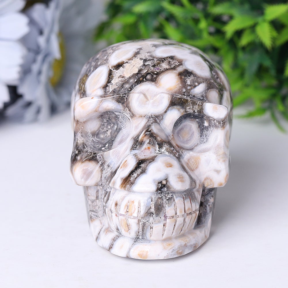 3.6" Unique Ocean Jasper Crystal Skull Carvings for Halloween