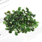 0.1kg Green Jade Crystal Chips Wholesale Crystals USA