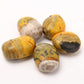 Bumblebee Jasper Tumbled Stone Set of 5 Palm stones Wholesale Crystals USA