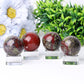 1.5" Dragon Blood Stone Crystal Sphere Wholesale Crystals USA