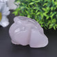 Fluorite Crystal Skull Carvings Wholesale Crystals USA