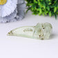3.5" Natural Prehnite Crow Skull Head Healing Carving Epidote Wholesale Crystals USA