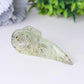 3.5" Natural Prehnite Crow Skull Head Healing Carving Epidote Wholesale Crystals USA