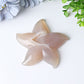 3.0"-3.5" Druzy Agate Starfish Crystal Carvings Wholesale Crystals USA
