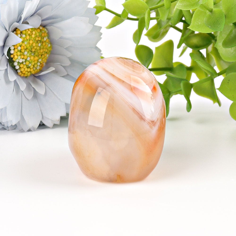 2" Sardonyx Skull Crystal Carvings Wholesale Crystals USA