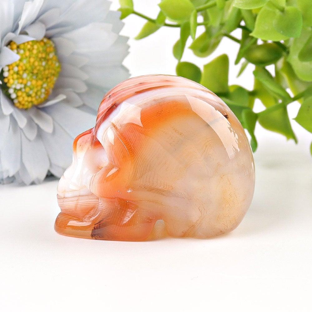 2" Sardonyx Skull Crystal Carvings Wholesale Crystals USA