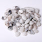 0.1kg Black Moonstone Tumbles Wholesale Crystals USA