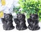 2" Black Obsidian Cute Cat Crystal Carvings for Halloween Wholesale Crystals USA