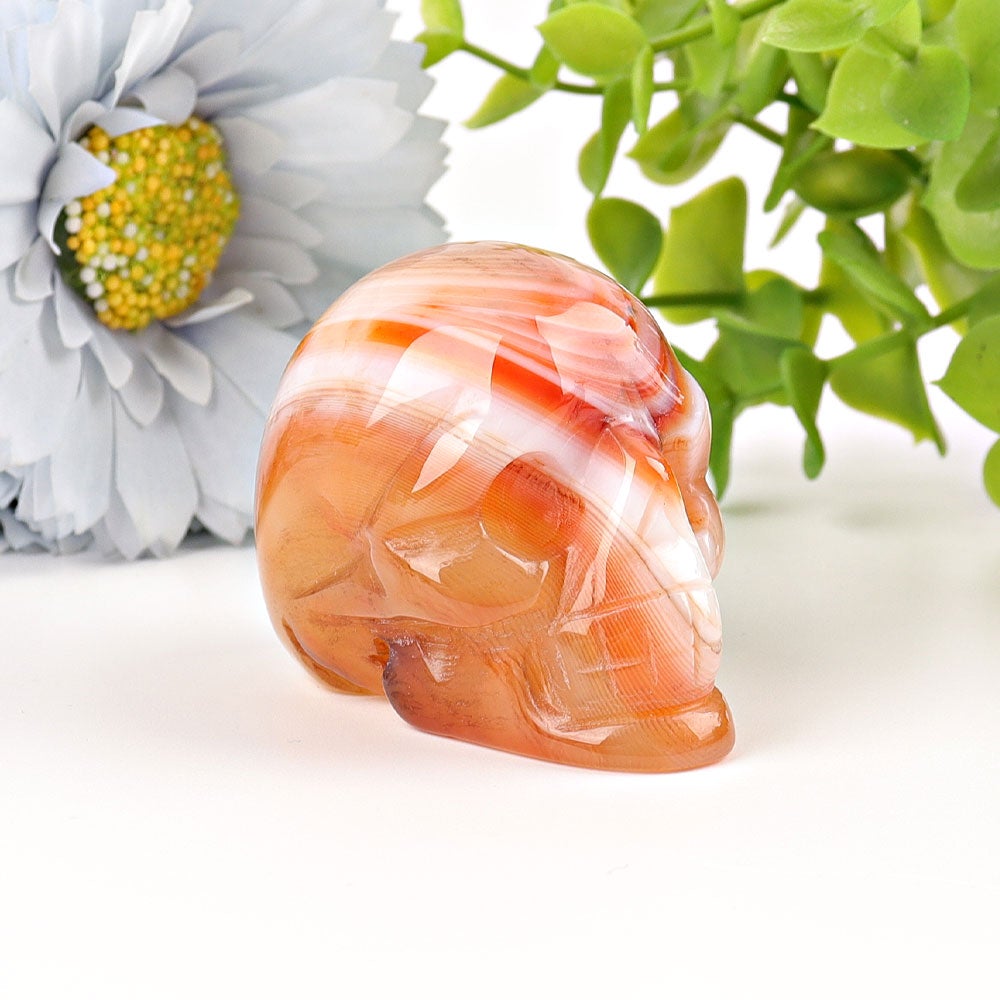 2" Sardonyx Skull Crystal Carvings Wholesale Crystals USA