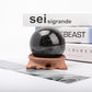 Astrophlite Sphere With Wooden Stand 1 Set Wholesale Crystals USA