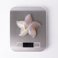 3.0"-3.5" Druzy Agate Starfish Crystal Carvings Wholesale Crystals USA
