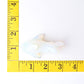2.9" Opalite Shark Crystal Carvings Wholesale Crystals USA