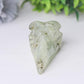3.5" Natural Prehnite Crow Skull Head Healing Carving Epidote Wholesale Crystals USA
