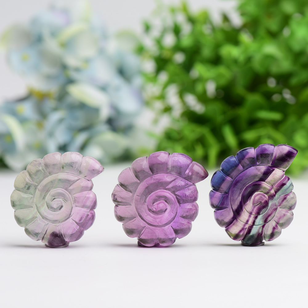 2.0" Fluorite Shell Crystal Carving Wholesale Crystals USA