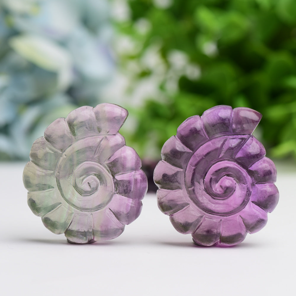 2.0" Fluorite Shell Crystal Carving Wholesale Crystals USA