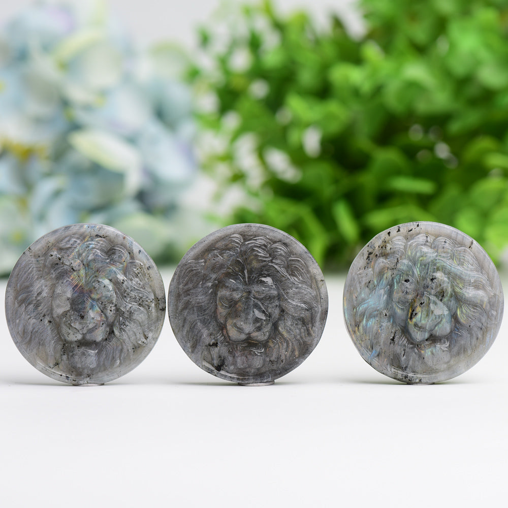 1.9" Labradorite Slab with Lion Crystal Carving Wholesale Crystals USA