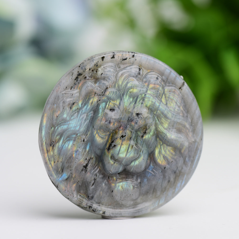 1.9" Labradorite Slab with Lion Crystal Carving Wholesale Crystals USA