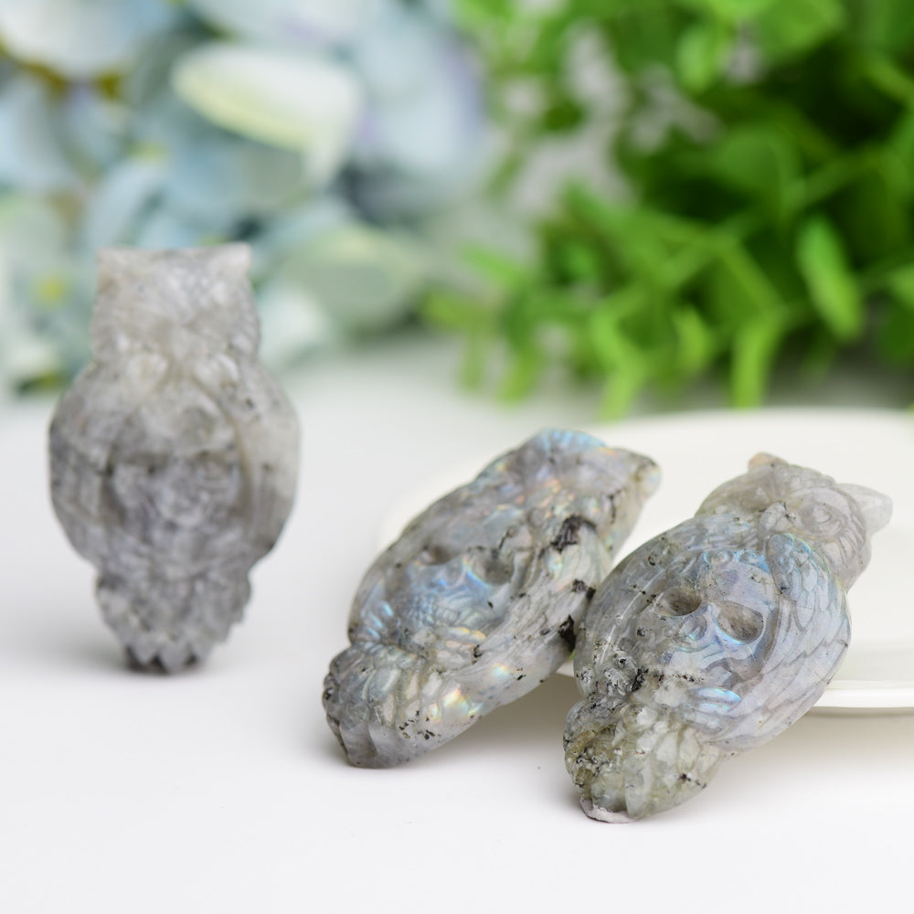 2.1" Labradorite Owl with Skull Dec Crystal Carving Wholesale Crystals USA
