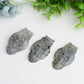 2.1" Labradorite Owl with Skull Dec Crystal Carving Wholesale Crystals USA