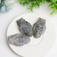 2.1" Labradorite Owl with Skull Dec Crystal Carving Wholesale Crystals USA