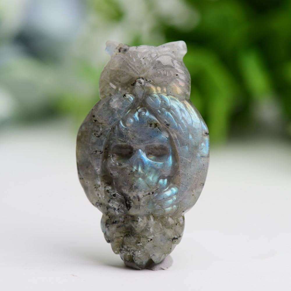 2.1" Labradorite Owl with Skull Dec Crystal Carving Wholesale Crystals USA