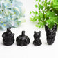 Black Obsidian Carving for Halloween Bulk Wholesale  Crystals USA