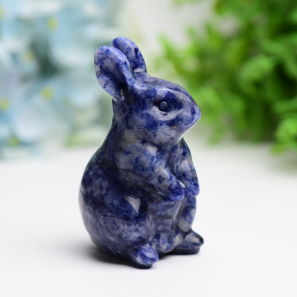 3.0" Sodalite Rabbit Animal Crystal Carving Wholesale Crystals USA