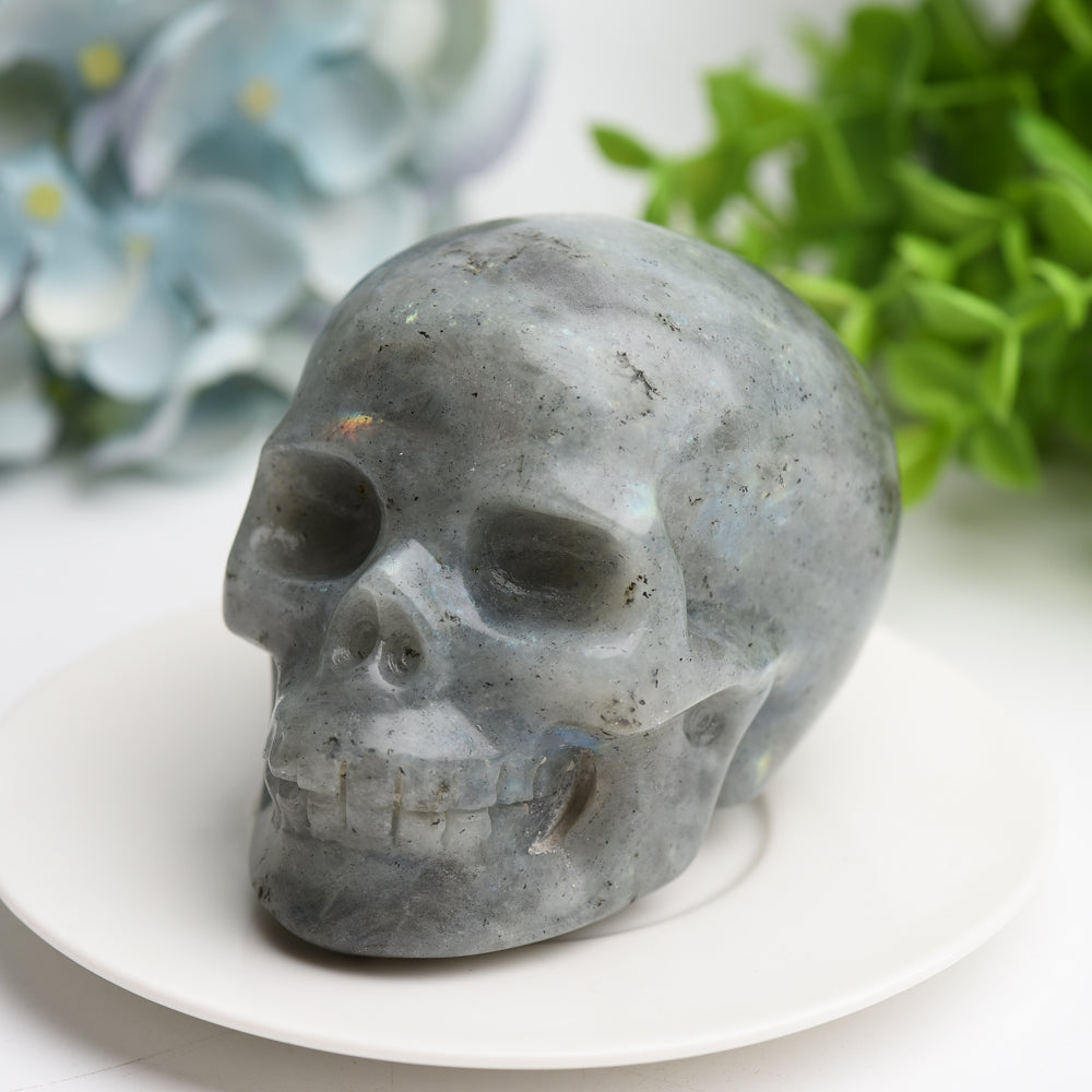 3.0"-3.5" Labradorite Skull Crystal Carving Bulk Wholesale for Halloween  Crystals USA
