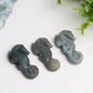 2.0" Labradorite Hippocampus Crystal Carving Bulk Wholesale  Crystals USA