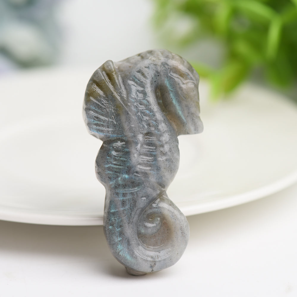 2.0" Labradorite Hippocampus Crystal Carving Bulk Wholesale  Crystals USA