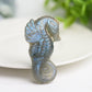 2.0" Labradorite Hippocampus Crystal Carving Bulk Wholesale  Crystals USA