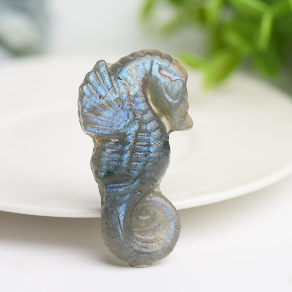 2.0" Labradorite Hippocampus Crystal Carving Bulk Wholesale  Crystals USA